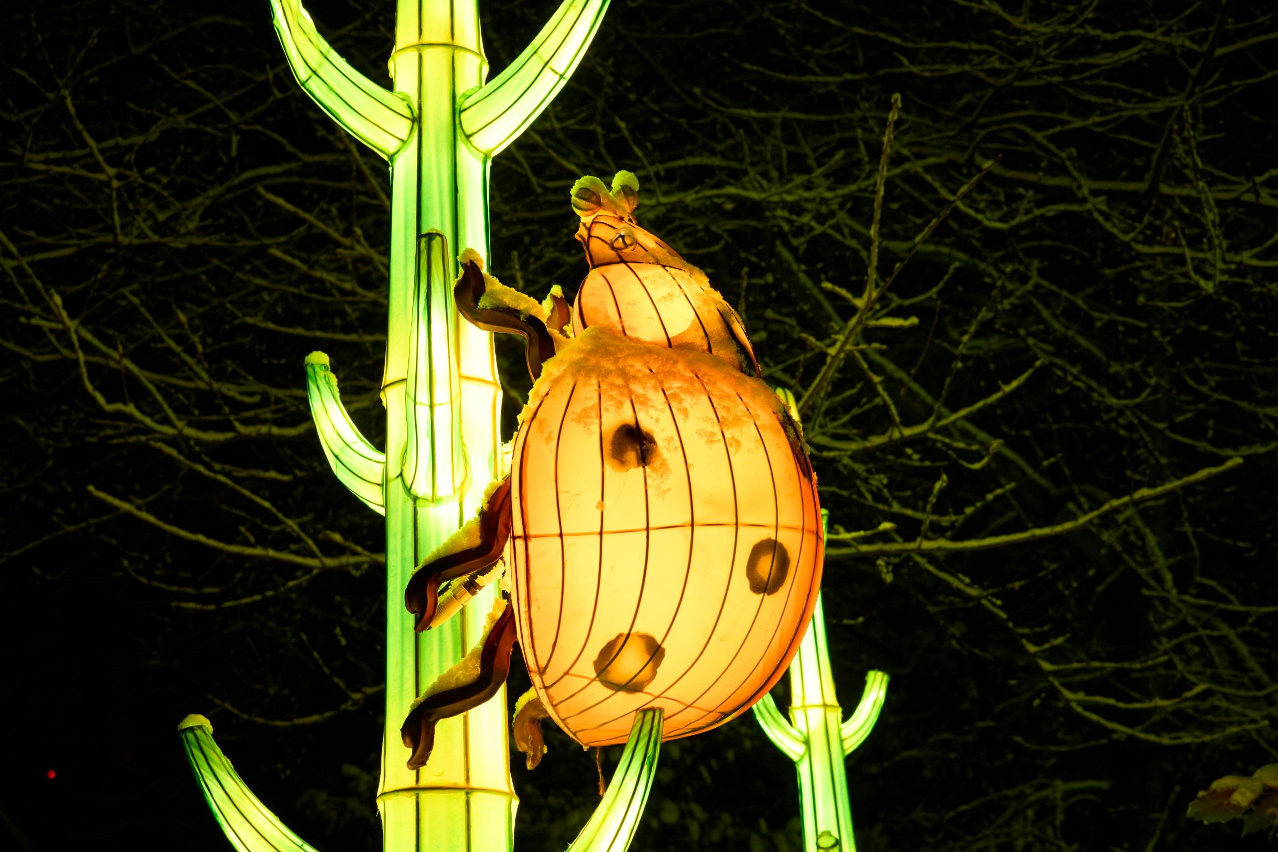 2026 01 05 China Lights 0253